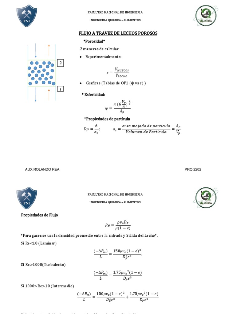 Flujo en Lechos Porosos: Cálculos y Propiedades | PDF | Gases | Líquidos