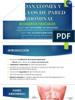 Sonoanatomia y Bloqueos de Pared Abdominal