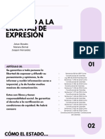 Derecho A La Libertad de Expresión PDF