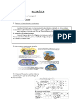 Actividad MATEMATICA