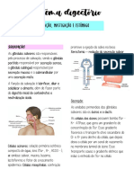 Sistema Digestório - Salivação, Mastigação e Estômago