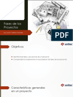 Fases de Los Proyectos PDF