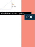 Metabolismo de Los Lipidos