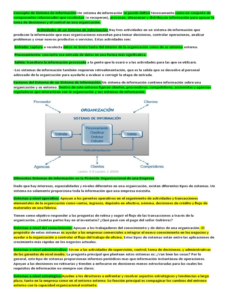 Concepto de Sistema de Información | PDF | Sistema de informacion ...
