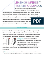 Clase 1 Metabolismo de Lípidos y Compuestos Nitrogenados