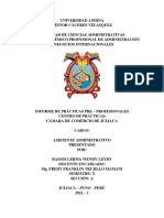 Informe de Practica Decimo PDF