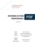 Belen Herrera Informe-Practica-Profesional PDF