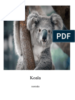 El Koalaa