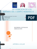 Anato Clase 6 Efx Ii PDF