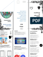 Fisica Brochuire PDF