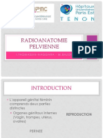 4 ITN radio anatomie pelvienne et mammaire 2016.pdf