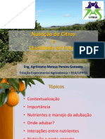 Nutrição equilibrada é chave para citros produtivos