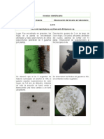 Resultados - Discusion Control Biologico