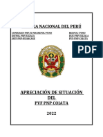 Informe Apreciacion de Cojata