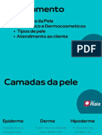 Treinamento Dermo PDF