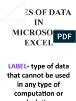 Types-of-data-in-MS-Excel.pptx