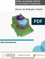 Guia Introductoria Conceptos Fudamentales Biol Celular V.1 PUB.docx