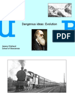 Darwin Idea Development