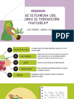 Que Determina Los Sistemas de Produción Agricola