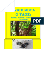 Historia de Yahuasca