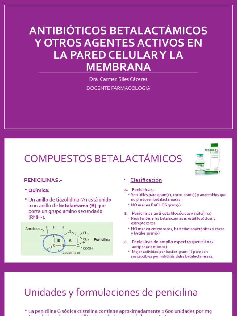 Antibióticos betalactámicos.pptx | PDF