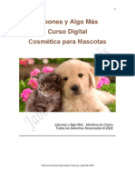 CursoDigital Mascitas v1 PDF