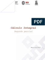 Calculo Int - Guia Segundo Parcial