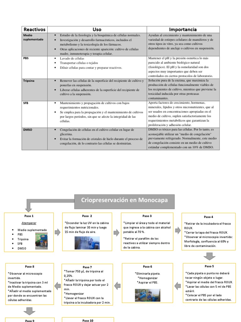 Protocolo Criopreservación en Monocapa PDF | PDF | Cultivo de células ...