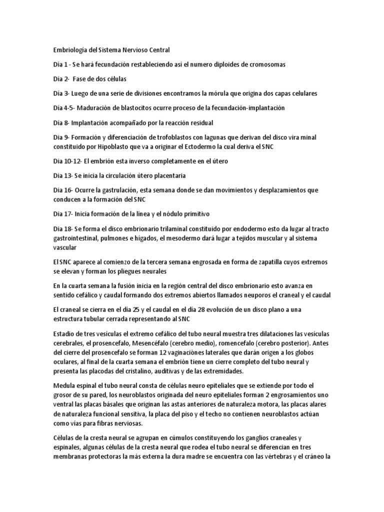 Embriología Del Sistema Nervioso Central Pdf Pdf Médula Espinal