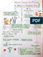 Ordenador Gráfico Fundamentos T. e PDF