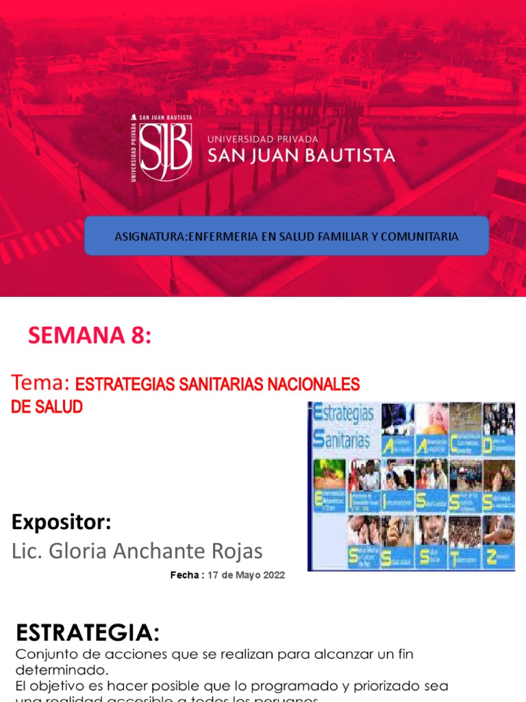 Estrategias Sanitarias MINSA 2025 | PDF