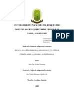 Tesis - Eficacia de Los Herbicidas Organicos en Cultivos de Citricos Sobre La Dinamica de Las Malezas - Correción PDF