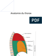 Anatomie Du Thorax - 045209