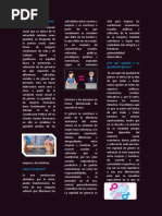 Triptico Igualdad de Genero | PDF | Igualdad de género | Estudios de género