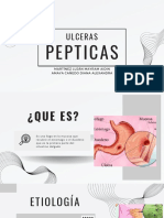 Ulceras Gástricas Pato PDF