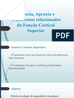 Agnosia, Apraxia e Transtornos da Função Cortical Superior