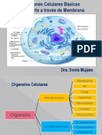 Unidad I. F. Celulares Membrana y Transporte Transmembranal Ago 2022 PDF