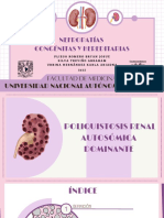 Nefropatias Congenitas y Hereditarias PDF
