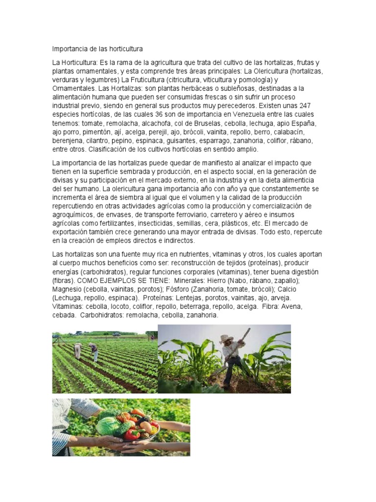 horticultura by rofinoclemente - Issuu