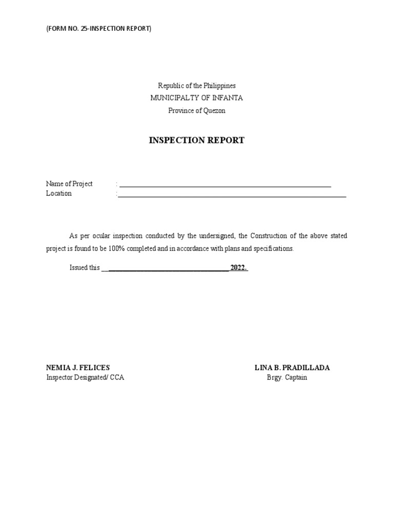 Infanta Project Inspection Report 2022 | PDF