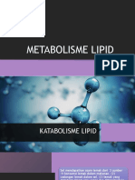 Katabolisme Lipid PDF