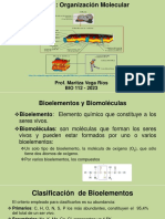 Eje 2. La Célula. Organización Molecular 