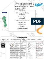 Parasitos PDF
