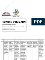 Cuadro Virus ADN