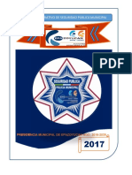 POA Seguridad Publica PDF