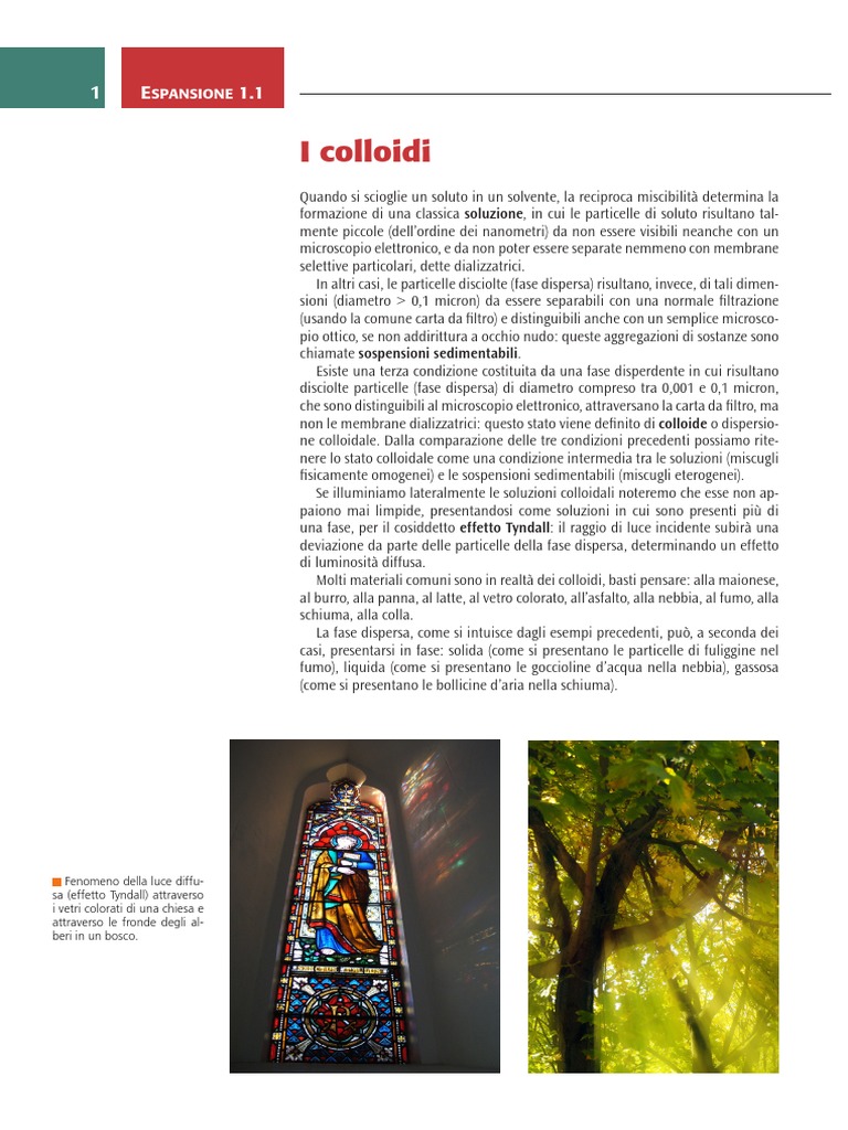 Colloidi | PDF