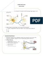 LKS Neuron PDF