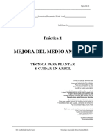 Soluciones Practicas PDF