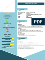 CV PDF