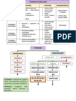 Vitaminas liposolubles y sus funciones